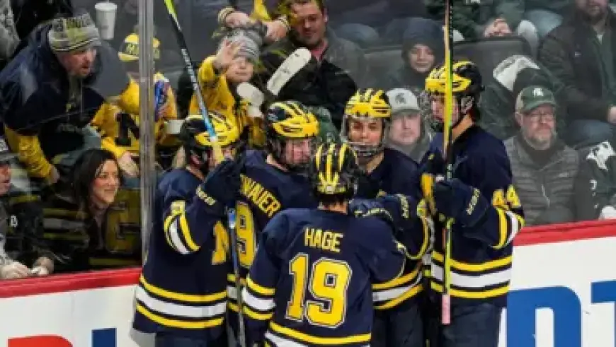 USCIS Clarifies Parole, TPS Changes for SAVE Agencies: Impact on Immigration Checks