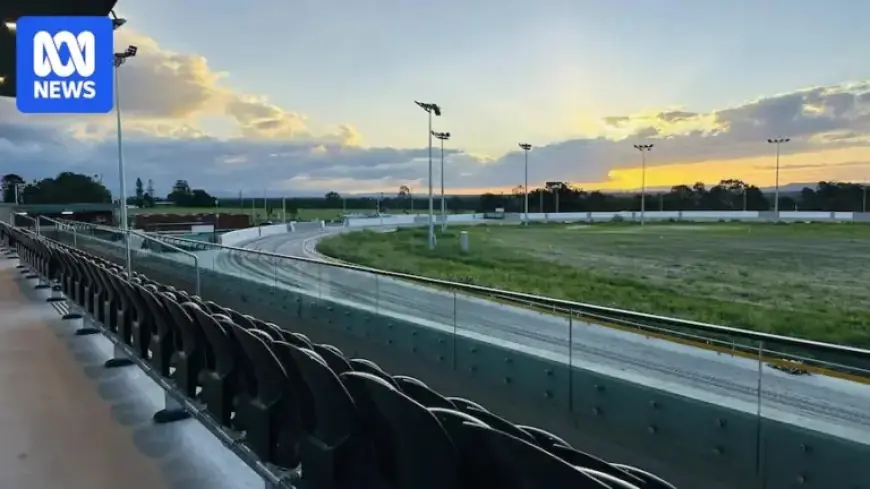 Queensland Track Safety Issues Frustrate Greyhound Trainers