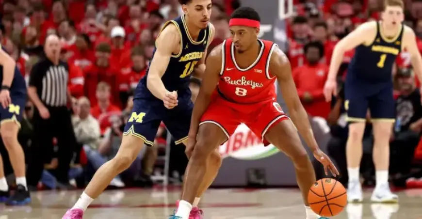 Ex-Michigan Basketball Star Transfers to Ohio State