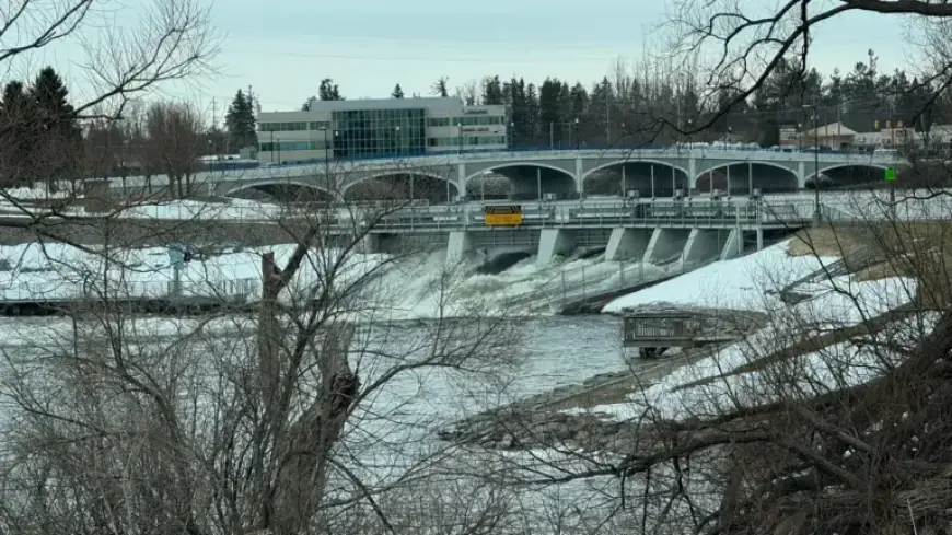 Cheboygan Dam Water Levels Surge, Prompting Emergency Declaration