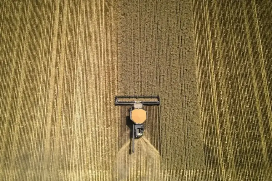 Australian Farmers Alter Crops Amid Distant War Impact