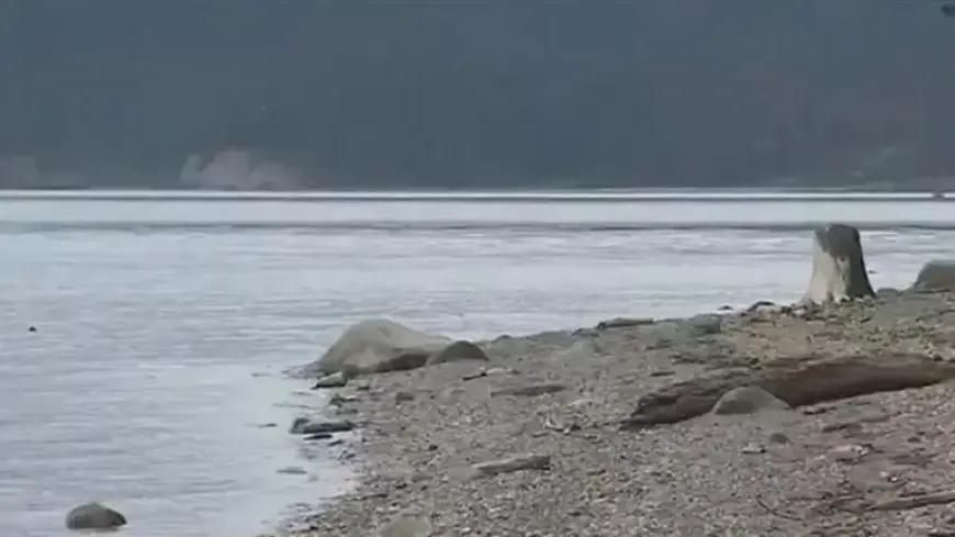 Sheriff Solves Mystery of Dead Canines Found on Guemes Island Shore