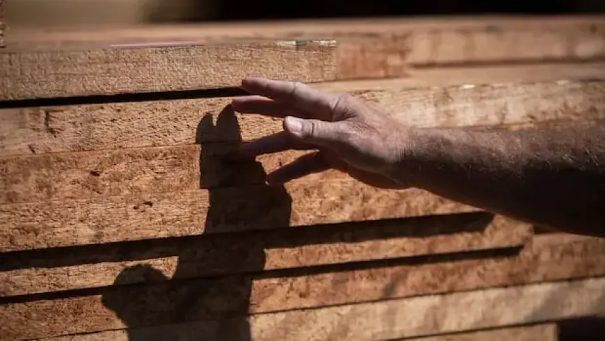 U.S. Reduces Canadian Softwood Lumber Tariffs Amid Persisting Uncertainty