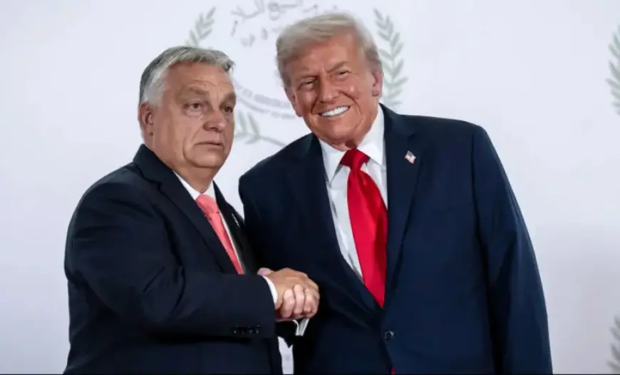 Trump Bolsters Pro-Orban Endorsement with Promises of Hungary Economic Aid