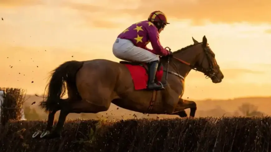 Is Monty’s Star Set to Shine at the Grand National?
