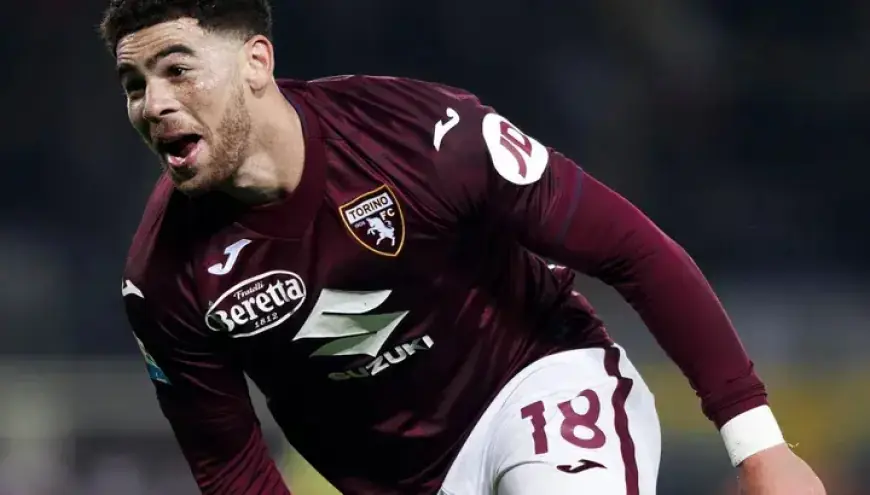 Torino vs. Hellas Verona Preview: Predictions, Team News, and Lineups