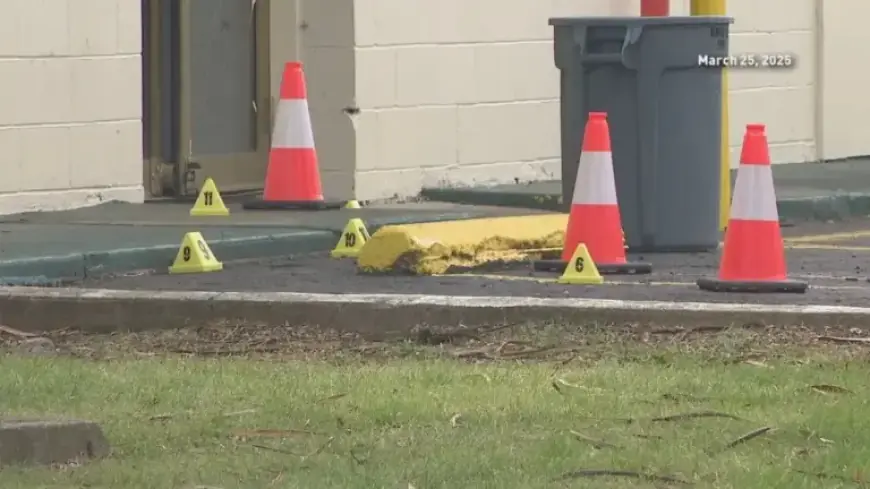 Man Fatally Shot After Dispute Over ‘Black and Mild’ Cigars