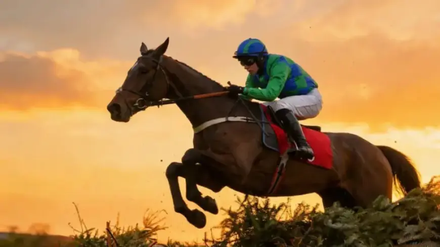 Champ Kiely: Overlooked Grade One Winner Ignites Market Interest