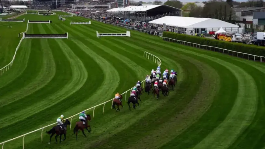 Get On George Dies During Second Race at Aintree’s Grand National
