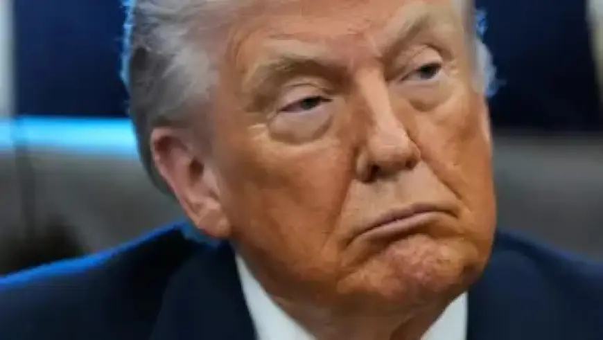 HBO’s ‘Euphoria’ Catapults These Actors to Stardom