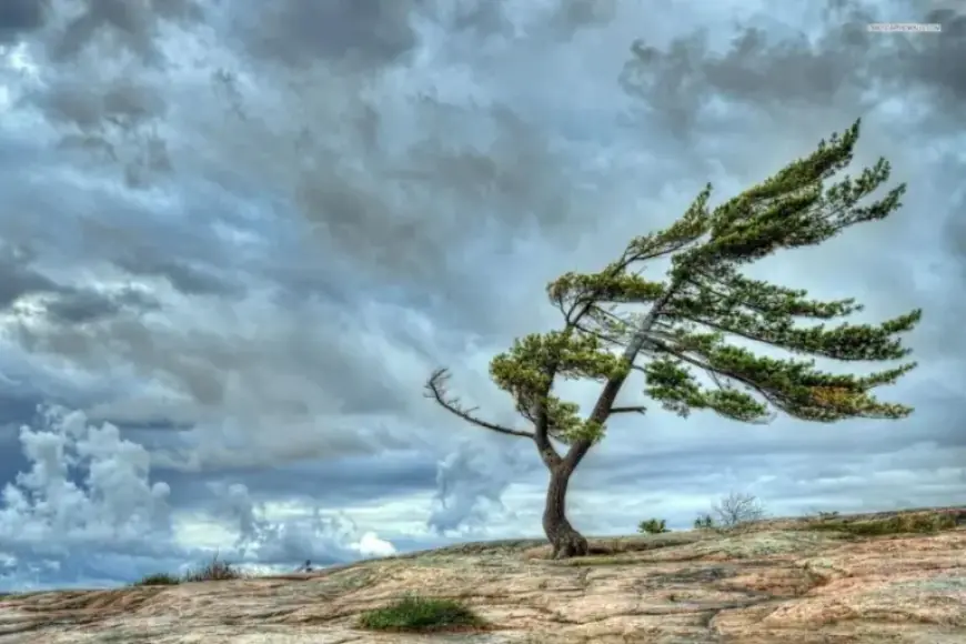 Baku Braces for Strong Winds as Yellow and Orange Warnings Issued