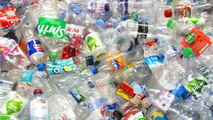 Big Oil Aims to Boost Plastic Production Amid Ubiquity