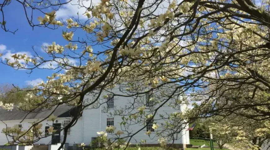 Day 11: Celebrate National Poetry Month with Top Picks