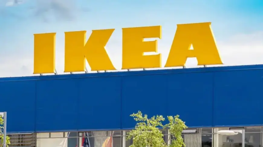 IKEA’s Budget-Friendly Spring Dishes Captivate Shoppers