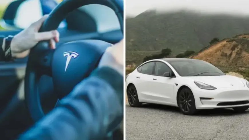 Man Reveals How His Tesla Model 3 Surpassed 359,999 Miles