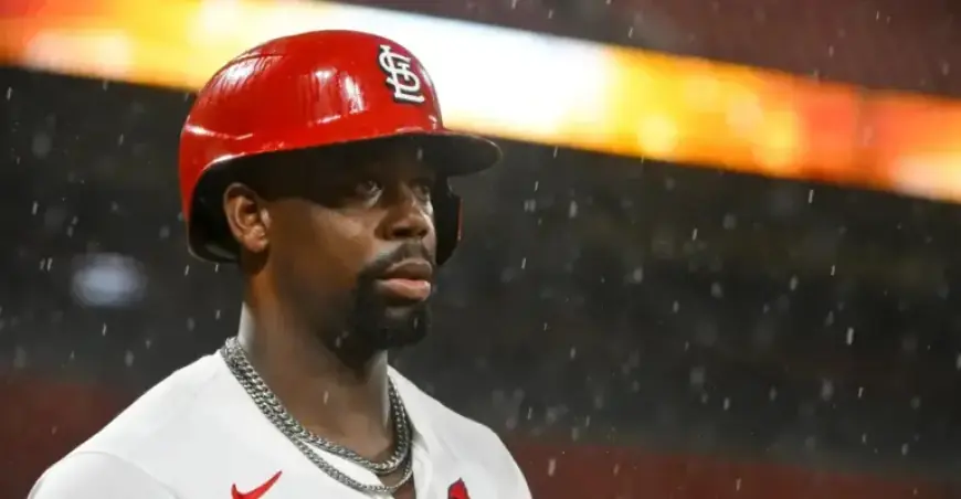 Jordan Walker’s Performance Exceeds Expectations: A Personal Reflection