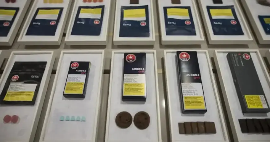 Ontario Eyes Earlier Opening Hours for Legal Cannabis Stores