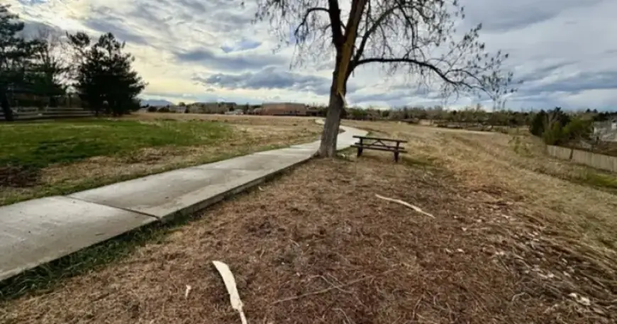 Lightning Strikes Woman in Superior: Identified, Critical Condition