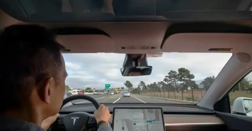 Netherlands Approves Tesla’s Supervised Full Self-Driving, a European First