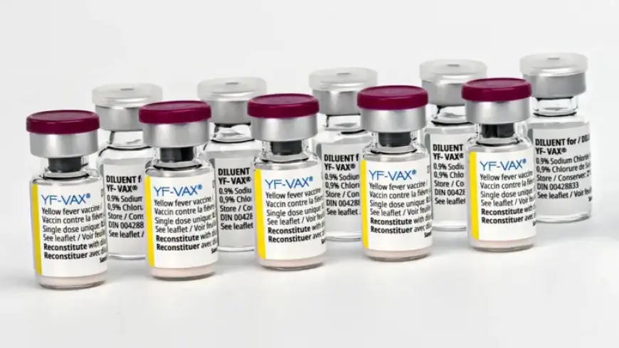 Next-Gen Yellow Fever Vaccine Succeeds in Mid-Stage Trial