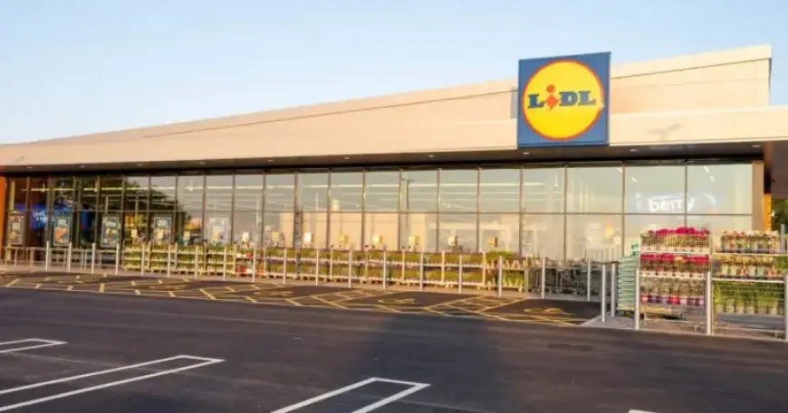 Lidl Announces Plans for New Stores at 5 Dorset Locations