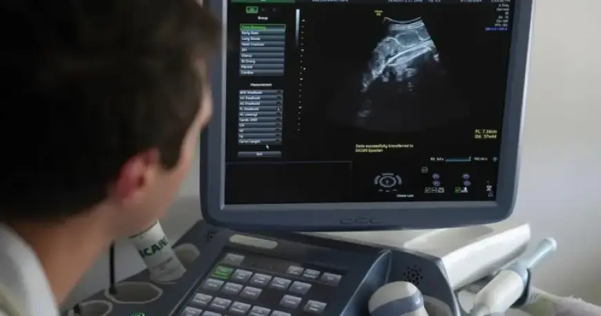 Toronto Researchers Harness AI to Reduce Endometriosis Diagnosis Delays