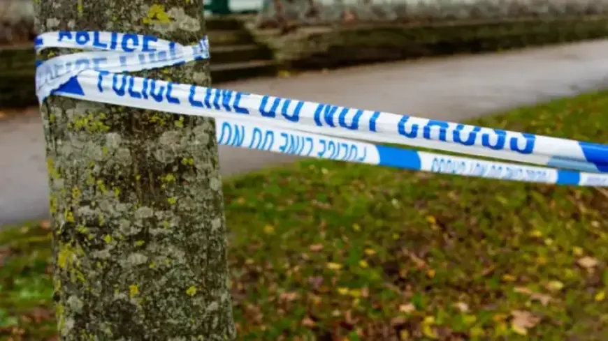 Gunshots in Brinnington Lead to Six Arrests