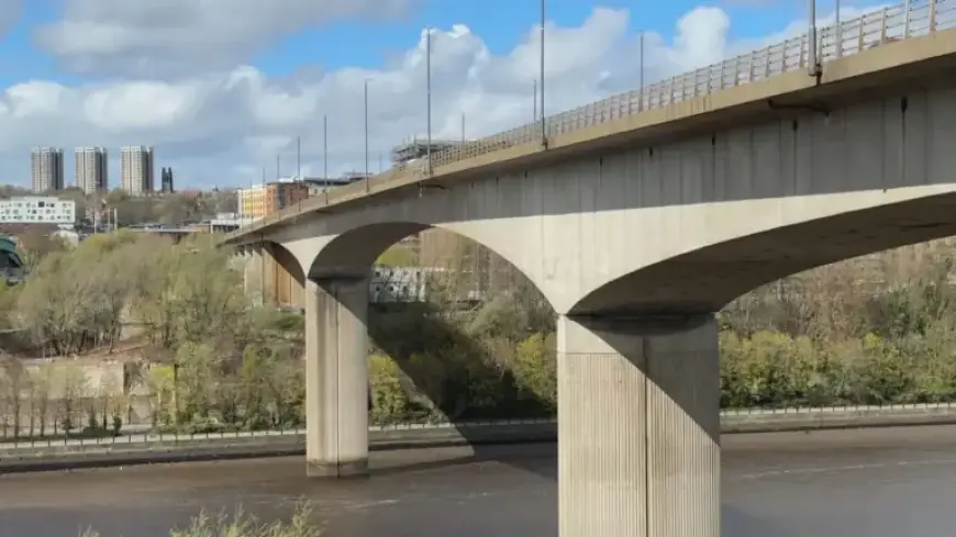 Man Vanishes After Alleged Bridge Altercation and Entering Water