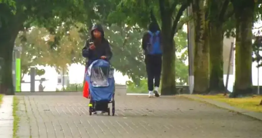 Study Reveals Rising Desire for Parenthood Among Younger Canadians