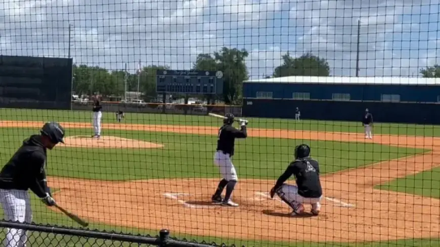 Live Updates: Yankees vs. Rays Game Score and Analysis