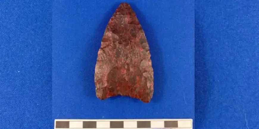 Ancient Stone Tools Could Redefine Island History by Millennia