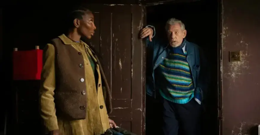 Explore Steven Soderbergh’s Unique and Surprising Heist Film