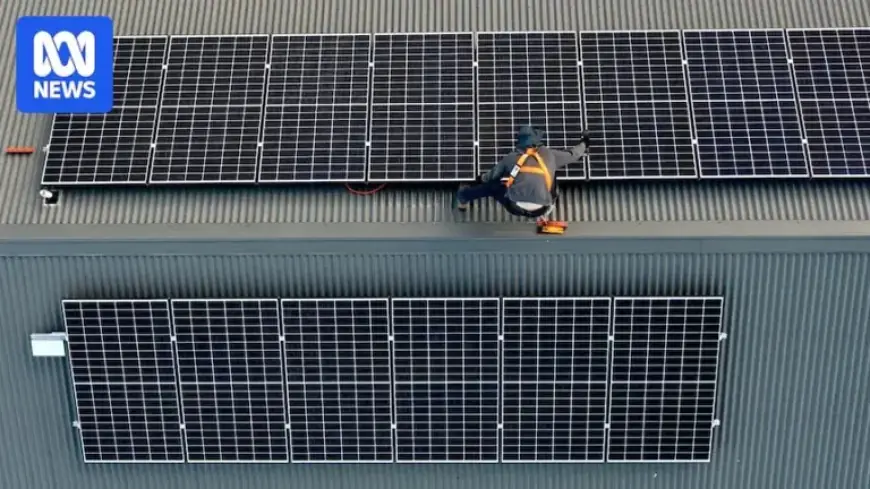 Meet the Australian Innovator Revolutionizing Solar Power