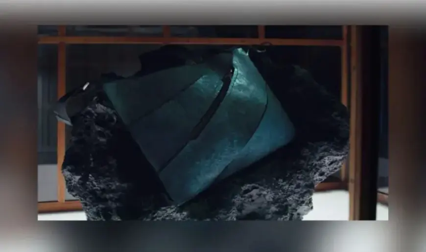 Art Zoo Museum Unveils Lab-Grown Dinosaur Leather in New Exhibit