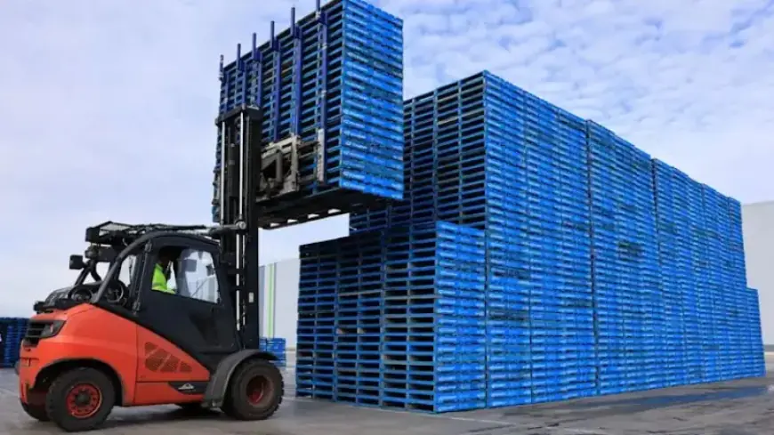 Brambles Shareholders Regain Losses with Class Action Victory