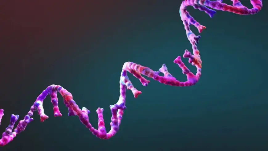 RNA’s Near Self-Replication Sheds Light on Life’s Origins: ScienceAlert