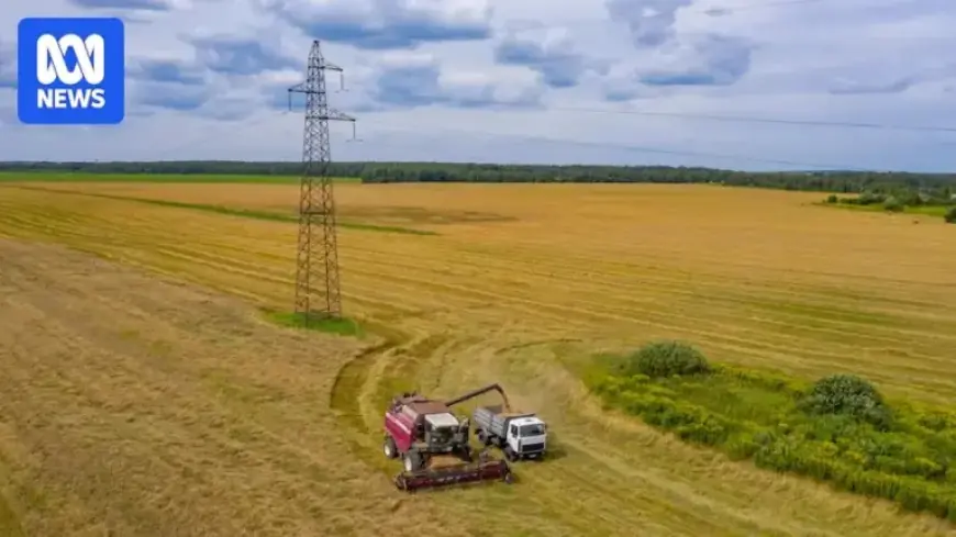 Farmer Faces Backlash for Supporting Transmission Line Expansion