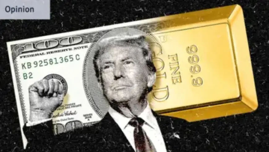 MCoBeauty’s Viral Dupes Spark Two Major Lawsuits