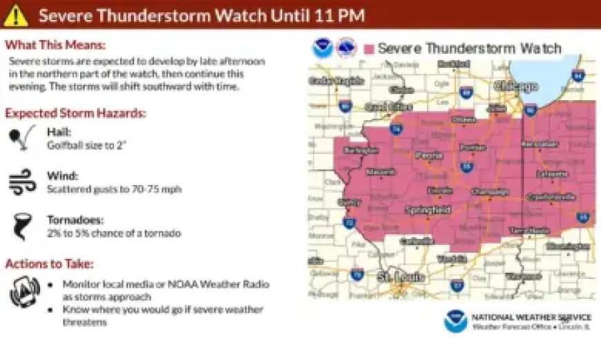Hunter Schafer’s Comprehensive Dating History Explored