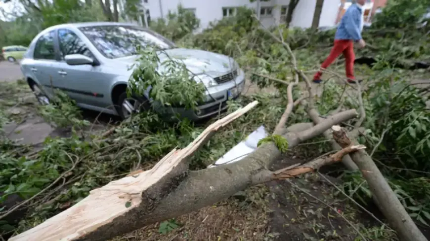 Over 20,000 Vehicles Damaged by Storms in Niedersachsen: Average Costs Revealed