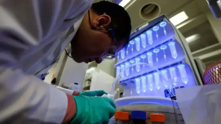 Peptide Industry Booms: Discover What’s Real, Risky, and Emerging