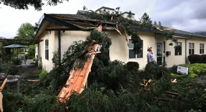 Spring Storm Hits: Lightning Splinters Tree and Damages Oakmont Church