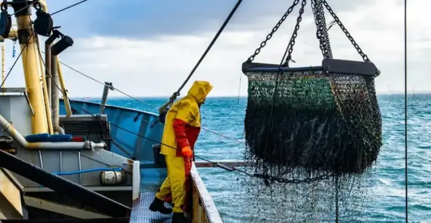 UK Boosts Fishing Industry with £132 Million Finance Scheme Relaunch