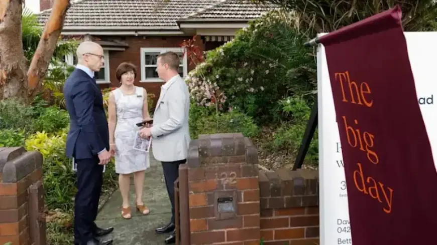 Auction Market Plummets, Leaving Buyers Shaken