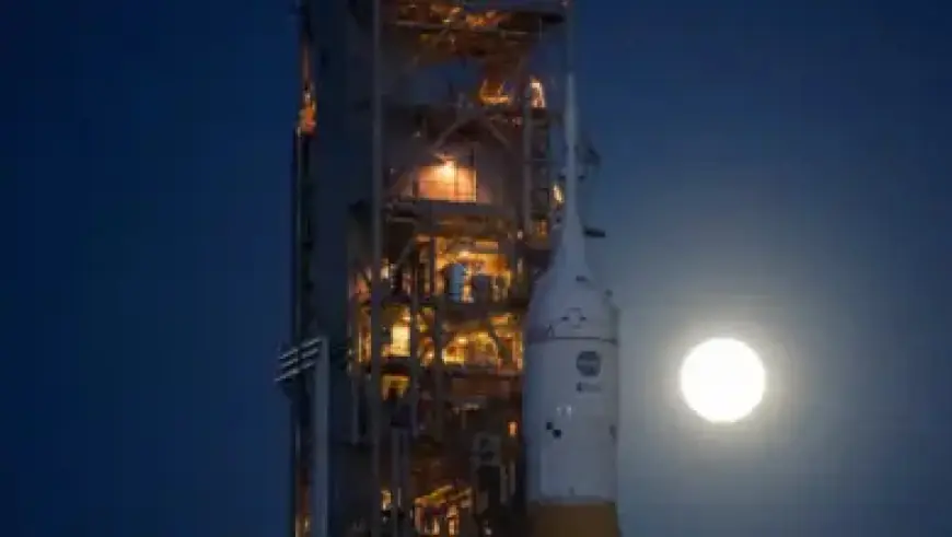 Veteran NFL Coach and Titans Analyst Dave McGinnis Dies at 74