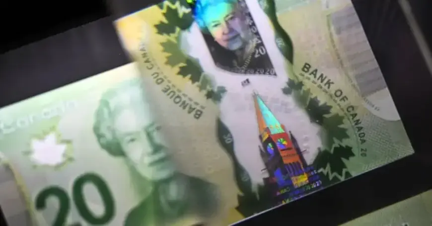 Canada’s Wealth Divide Widened Last Year, Reports StatCan