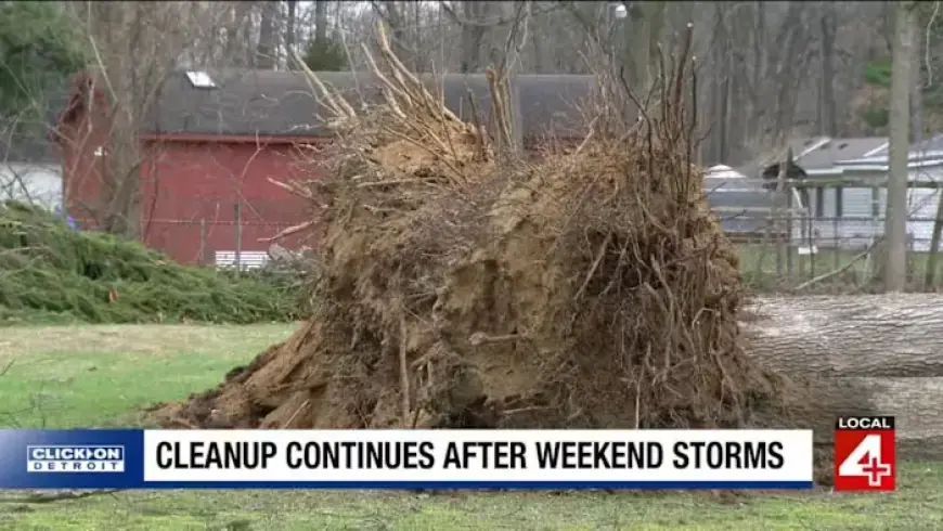 Severe Storms Devastate Metro Detroit; Cleanup Efforts May Last Weeks