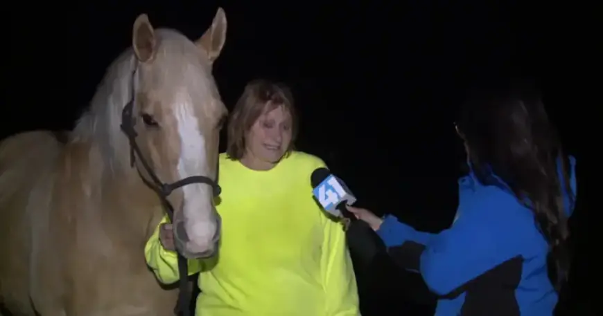 Storm Ravages Homes and Buildings in Hillsdale