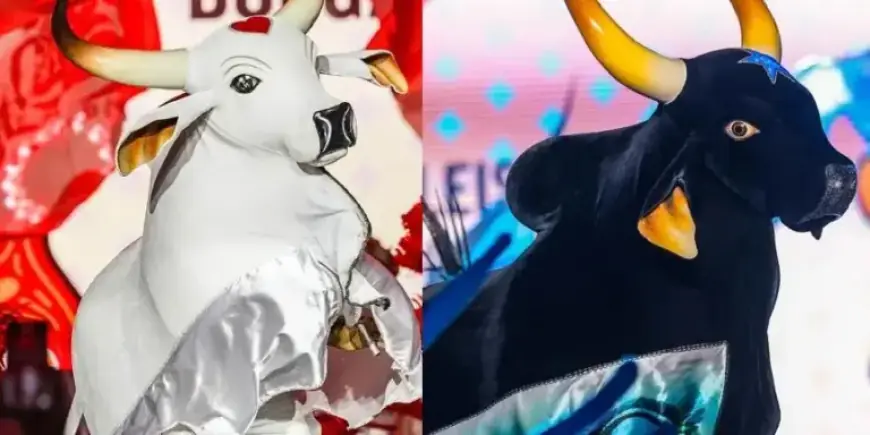 Amazonas Jazz Band Debuts Unique Performance at Arena Planeta Boi 2026