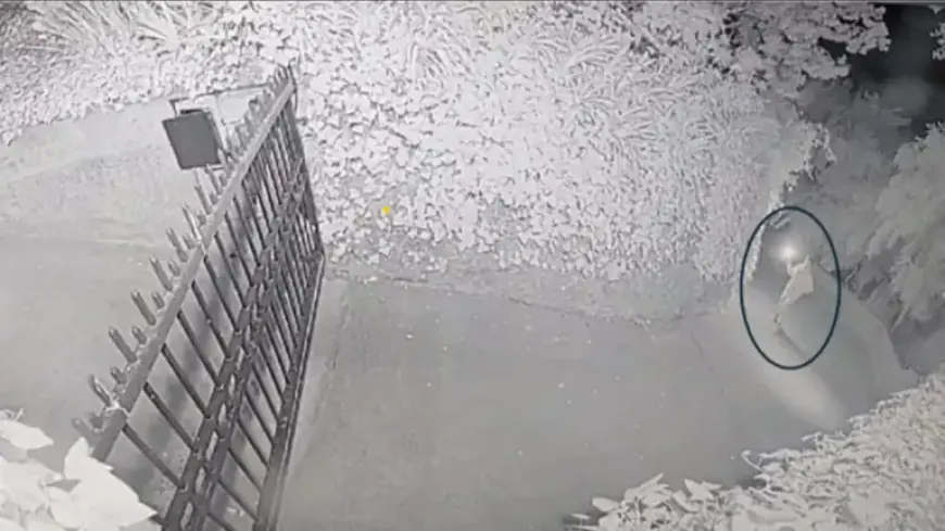 Texas Man Faces Charges for Molotov Cocktail Attack on Sam Altman’s SF Home